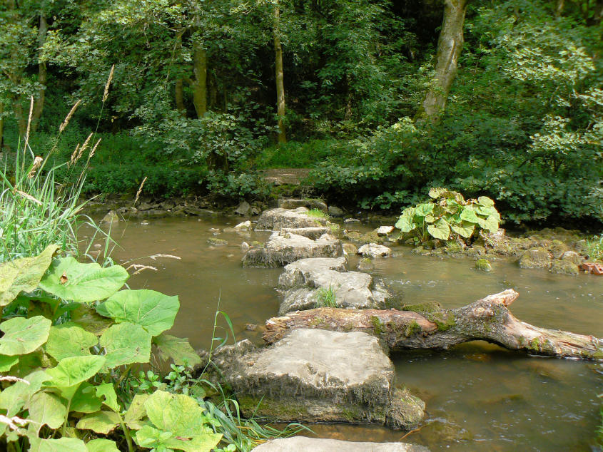 River Dove River Dove